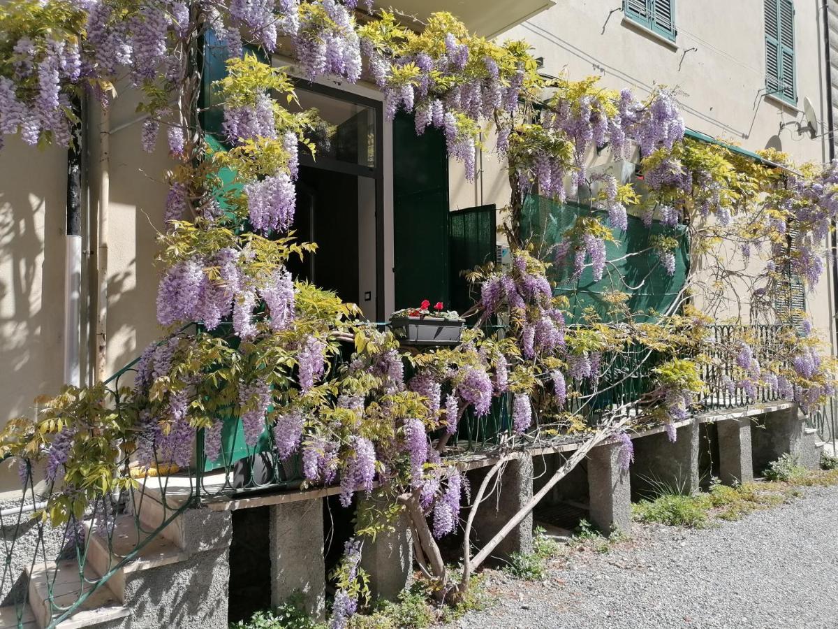 Il Giardino Di Elettra - Freeparking Aparthotel Genoa Exterior photo